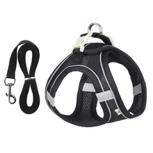 Load image into Gallery viewer, Adjustable Harness and Leash Set for Small Dogs and Cats