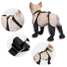 Load image into Gallery viewer, Waterproof Dog Suspenders Boots