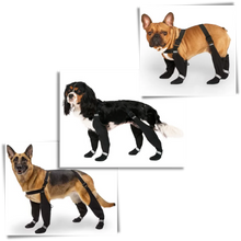 Load image into Gallery viewer, Waterproof Dog Suspenders Boots