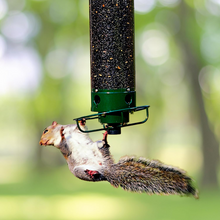 Load image into Gallery viewer, Squirrel Proof Bird Feeder