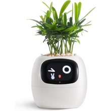 Load image into Gallery viewer, Smart Plant Pot Ivy - Innovative Plant Care