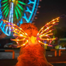 Load image into Gallery viewer, Electric Colorful Kids / Adults LED Fairy Wings Costume