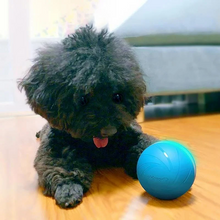 Load image into Gallery viewer, Magic Ball Pet Motion Toy
