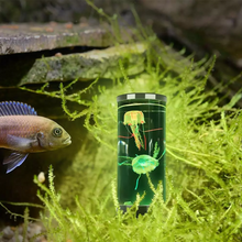 Load image into Gallery viewer, Jellyfish LED Lamp & Aquarium