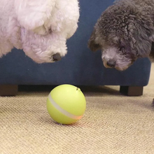 Load image into Gallery viewer, Magic Ball Pet Motion Toy