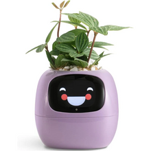 Load image into Gallery viewer, Smart Plant Pot Ivy - Innovative Plant Care
