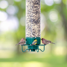 Load image into Gallery viewer, Squirrel Proof Bird Feeder