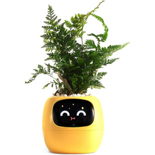 Load image into Gallery viewer, Smart Plant Pot Ivy - Innovative Plant Care