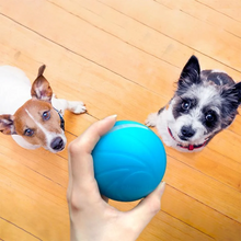 Load image into Gallery viewer, Magic Ball Pet Motion Toy
