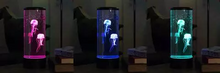 Load image into Gallery viewer, Jellyfish LED Lamp & Aquarium