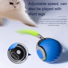 Load image into Gallery viewer, Interactive Cat Toys For Indoor Cats