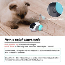 Load image into Gallery viewer, Interactive Cat Toys
