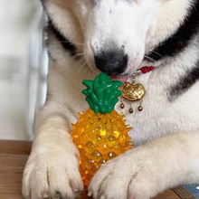 Load image into Gallery viewer, Cooling Freezable Summer Pet Dog Teething Chew Toy
