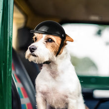 Load image into Gallery viewer, Dog Motorcycle Helmet And Goggles

