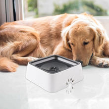 Load image into Gallery viewer, Large Capacity Anti-Overflow Dog Drinking Water Bowl
