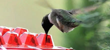 Load image into Gallery viewer, Ant Proof Hummingbird Feeder Outdoor Hanging Perch
