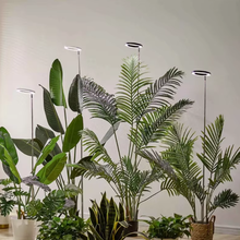 Load image into Gallery viewer, Grow Light For Indoor Plants
