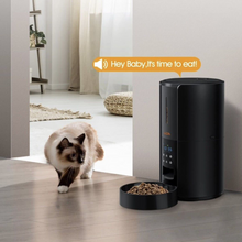 Load image into Gallery viewer, Exclusive Large Automatic Dog Cat Time Pet Food Feeder Dispenser
