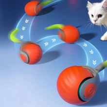 Load image into Gallery viewer, Interactive Cat Toys For Indoor Cats
