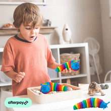 Load image into Gallery viewer, 3D Fidget Slug Sensory Toy
