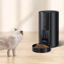 Load image into Gallery viewer, Exclusive Large Automatic Dog Cat Time Pet Food Feeder Dispenser
