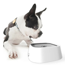 Load image into Gallery viewer, Large Capacity Anti-Overflow Dog Drinking Water Bowl
