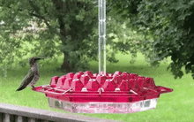 Load image into Gallery viewer, Ant Proof Hummingbird Feeder Outdoor Hanging Perch
