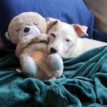Load image into Gallery viewer, Calming Otter Plush
