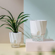 Load image into Gallery viewer, Self Watering Planter
