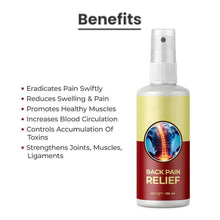 Load image into Gallery viewer, 3 pack back pain Spray
