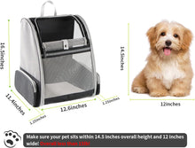Load image into Gallery viewer, Backpack Carrier Cat
