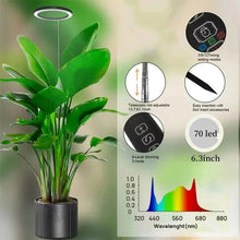 Load image into Gallery viewer, Grow Light For Indoor Plants
