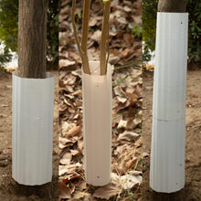 Load image into Gallery viewer, Squirrel Baffle For Trees - 6 Pack
