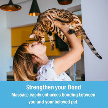 Load image into Gallery viewer, Pet Massager
