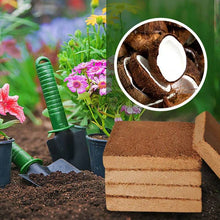 Load image into Gallery viewer, Coco Coir Bricks
