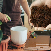 Load image into Gallery viewer, Coco Coir Bricks
