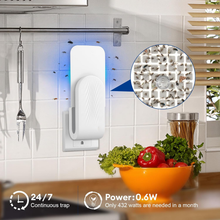 Load image into Gallery viewer, Indoor Fly Trap
