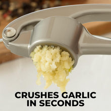 Load image into Gallery viewer, Premium Garlic Press Mincer
