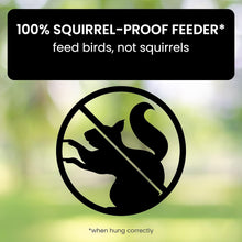 Load image into Gallery viewer, Squirrel-Proof Bird Feeder
