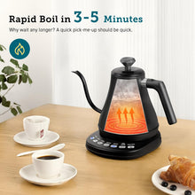 Load image into Gallery viewer, Electric Gooseneck Kettle
