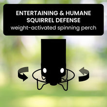 Load image into Gallery viewer, Squirrel-Proof Bird Feeder
