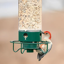 Load image into Gallery viewer, Squirrel-Proof Bird Feeder
