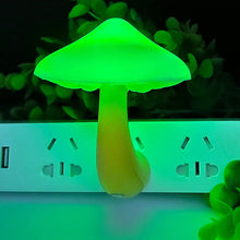 Load image into Gallery viewer, Mushroom Light
