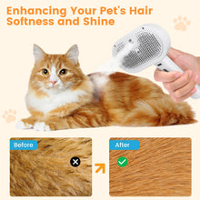 Load image into Gallery viewer, Cat And Dog Steam Brush
