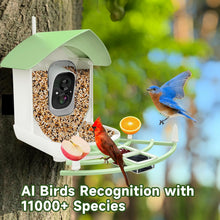 Load image into Gallery viewer, Smart Bird Feeder Camera
