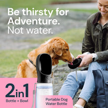 Load image into Gallery viewer, 19 oz portable water bottle for dogs
