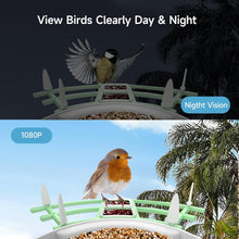 Load image into Gallery viewer, Smart Bird Feeder Camera
