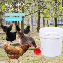 Load image into Gallery viewer, 10 Pcs Chicken Waterer
