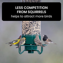 Load image into Gallery viewer, Squirrel-Proof Bird Feeder
