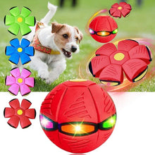 Load image into Gallery viewer, Flying Saucer Ball Dog Toy
